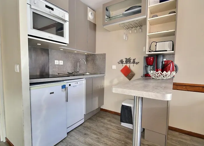 Apartment Renove 3 Pieces, 6 Pers., Au Pied Des Pistes - Fr-1-455-65 *